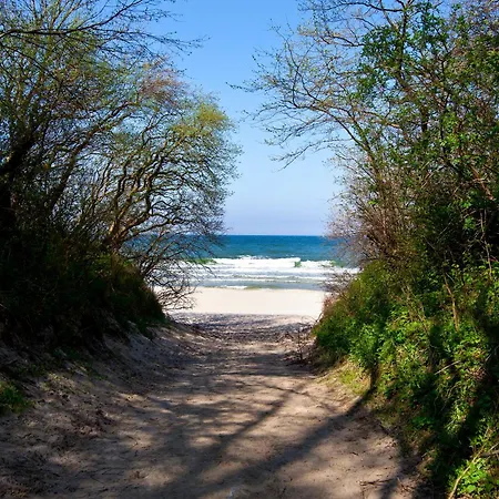 Alojamento de Turismo Selvagem Imperiall Resort&medispa-domki Premium *