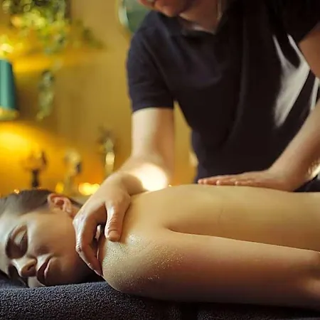 بيت خشبي Imperiall Resort&medispa-domki Premium *