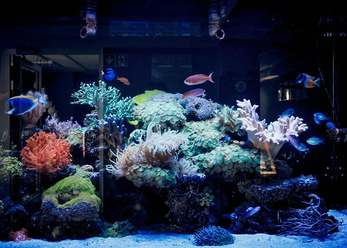 Imperiall Resort&medispa-domki Premium Sianożęty